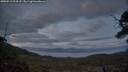 ./images/calvert/fitz-hugh-hecate/20250513/fitz-hugh-hecate20250513_214508M.jpg