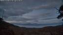 ./images/calvert/fitz-hugh-hecate/20250513/fitz-hugh-hecate20250513_215009M.jpg