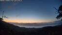 ./images/calvert/fitz-hugh-hecate/20250514/fitz-hugh-hecate20250514_050008M.jpg