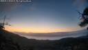 ./images/calvert/fitz-hugh-hecate/20250514/fitz-hugh-hecate20250514_051008M.jpg
