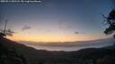 ./images/calvert/fitz-hugh-hecate/20250514/fitz-hugh-hecate20250514_051508M.jpg