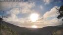 ./images/calvert/fitz-hugh-hecate/20250514/fitz-hugh-hecate20250514_071010M.jpg