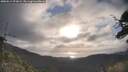 ./images/calvert/fitz-hugh-hecate/20250514/fitz-hugh-hecate20250514_072009M.jpg