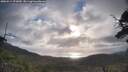 ./images/calvert/fitz-hugh-hecate/20250514/fitz-hugh-hecate20250514_073010M.jpg