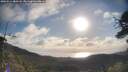 ./images/calvert/fitz-hugh-hecate/20250514/fitz-hugh-hecate20250514_080508M.jpg