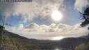 ./images/calvert/fitz-hugh-hecate/20250514/fitz-hugh-hecate20250514_081008M.jpg