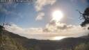 ./images/calvert/fitz-hugh-hecate/20250514/fitz-hugh-hecate20250514_081508M.jpg