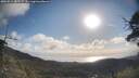 ./images/calvert/fitz-hugh-hecate/20250514/fitz-hugh-hecate20250514_082506M.jpg