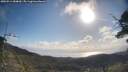 ./images/calvert/fitz-hugh-hecate/20250514/fitz-hugh-hecate20250514_084010M.jpg