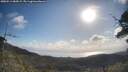 ./images/calvert/fitz-hugh-hecate/20250514/fitz-hugh-hecate20250514_084509M.jpg