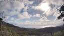 ./images/calvert/fitz-hugh-hecate/20250514/fitz-hugh-hecate20250514_085010M.jpg