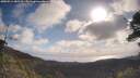 ./images/calvert/fitz-hugh-hecate/20250514/fitz-hugh-hecate20250514_085510M.jpg