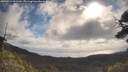 ./images/calvert/fitz-hugh-hecate/20250514/fitz-hugh-hecate20250514_091509M.jpg