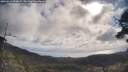 ./images/calvert/fitz-hugh-hecate/20250514/fitz-hugh-hecate20250514_092008M.jpg