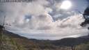 ./images/calvert/fitz-hugh-hecate/20250514/fitz-hugh-hecate20250514_092507M.jpg