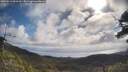 ./images/calvert/fitz-hugh-hecate/20250514/fitz-hugh-hecate20250514_093510M.jpg
