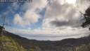 ./images/calvert/fitz-hugh-hecate/20250514/fitz-hugh-hecate20250514_100010M.jpg