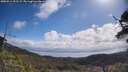 ./images/calvert/fitz-hugh-hecate/20250514/fitz-hugh-hecate20250514_102508M.jpg