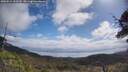 ./images/calvert/fitz-hugh-hecate/20250514/fitz-hugh-hecate20250514_103510M.jpg