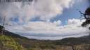 ./images/calvert/fitz-hugh-hecate/20250514/fitz-hugh-hecate20250514_105010M.jpg