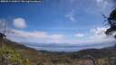 ./images/calvert/fitz-hugh-hecate/20250514/fitz-hugh-hecate20250514_114009M.jpg