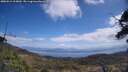 ./images/calvert/fitz-hugh-hecate/20250514/fitz-hugh-hecate20250514_115010M.jpg