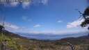 ./images/calvert/fitz-hugh-hecate/20250514/fitz-hugh-hecate20250514_120010M.jpg