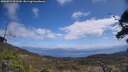 ./images/calvert/fitz-hugh-hecate/20250514/fitz-hugh-hecate20250514_121509M.jpg