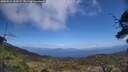 ./images/calvert/fitz-hugh-hecate/20250514/fitz-hugh-hecate20250514_133507M.jpg