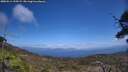 ./images/calvert/fitz-hugh-hecate/20250514/fitz-hugh-hecate20250514_134509M.jpg