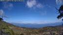 ./images/calvert/fitz-hugh-hecate/20250514/fitz-hugh-hecate20250514_135008M.jpg