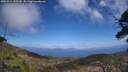 ./images/calvert/fitz-hugh-hecate/20250514/fitz-hugh-hecate20250514_135510M.jpg