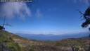 ./images/calvert/fitz-hugh-hecate/20250514/fitz-hugh-hecate20250514_140010M.jpg