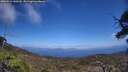 ./images/calvert/fitz-hugh-hecate/20250514/fitz-hugh-hecate20250514_140510M.jpg
