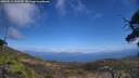 ./images/calvert/fitz-hugh-hecate/20250514/fitz-hugh-hecate20250514_141510M.jpg