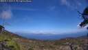 ./images/calvert/fitz-hugh-hecate/20250514/fitz-hugh-hecate20250514_142508M.jpg