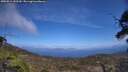 ./images/calvert/fitz-hugh-hecate/20250514/fitz-hugh-hecate20250514_143510M.jpg