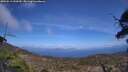 ./images/calvert/fitz-hugh-hecate/20250514/fitz-hugh-hecate20250514_144509M.jpg