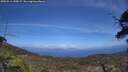 ./images/calvert/fitz-hugh-hecate/20250514/fitz-hugh-hecate20250514_145008M.jpg