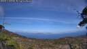 ./images/calvert/fitz-hugh-hecate/20250514/fitz-hugh-hecate20250514_145510M.jpg