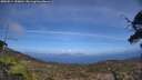 ./images/calvert/fitz-hugh-hecate/20250514/fitz-hugh-hecate20250514_150011M.jpg