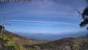 ./images/calvert/fitz-hugh-hecate/20250514/fitz-hugh-hecate20250514_150509M.jpg