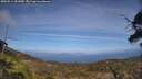 ./images/calvert/fitz-hugh-hecate/20250514/fitz-hugh-hecate20250514_151010M.jpg