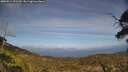 ./images/calvert/fitz-hugh-hecate/20250514/fitz-hugh-hecate20250514_151510M.jpg
