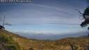 ./images/calvert/fitz-hugh-hecate/20250514/fitz-hugh-hecate20250514_152009M.jpg