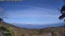 ./images/calvert/fitz-hugh-hecate/20250514/fitz-hugh-hecate20250514_152507M.jpg
