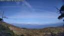 ./images/calvert/fitz-hugh-hecate/20250514/fitz-hugh-hecate20250514_153010M.jpg