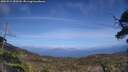 ./images/calvert/fitz-hugh-hecate/20250514/fitz-hugh-hecate20250514_153509M.jpg