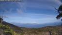 ./images/calvert/fitz-hugh-hecate/20250514/fitz-hugh-hecate20250514_155010M.jpg
