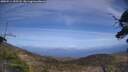 ./images/calvert/fitz-hugh-hecate/20250514/fitz-hugh-hecate20250514_155508M.jpg
